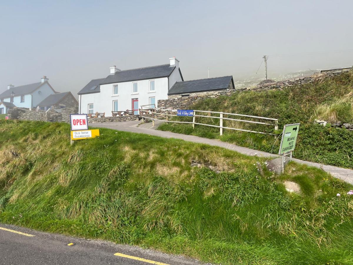 Old Irish Farmhouse Dingle Exteriér fotografie